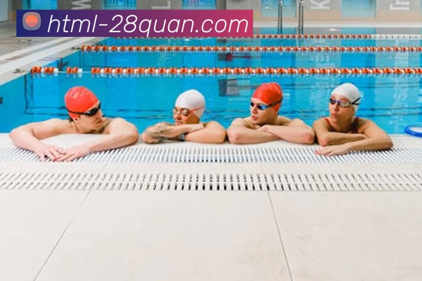 28圈平台生态图